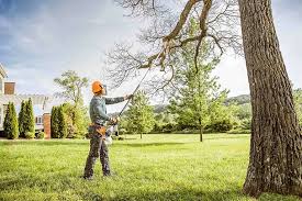 Best Hazardous Tree Removal  in Dryden, MI